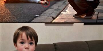 Un garçon sauve une femme pendant l’accouchement, le lendemain il reçoit 1 million de dollars. Quand il a vu qui avait apporté l’argent…