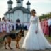 На свадьбе собака преградила путь невесте. А через минуту все гости ОЦЕПЕНЕЛИ от увиденного…