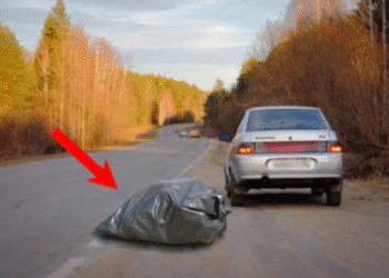 Из машины на трассе выбросили странный пакет, в котором что-то странным образом дергалось… Подойдя поближе и ткнув пальцем, водитель просто застыл на месте!