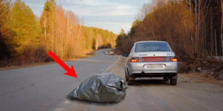 Из машины на трассе выбросили странный пакет, в котором что-то странным образом дергалось… Подойдя поближе и ткнув пальцем, водитель просто застыл на месте!