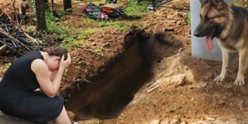 Пришли на кладбище утром – венки разбросаны, могила разрыта! Овчарка смотрит в глубину – и скулит…